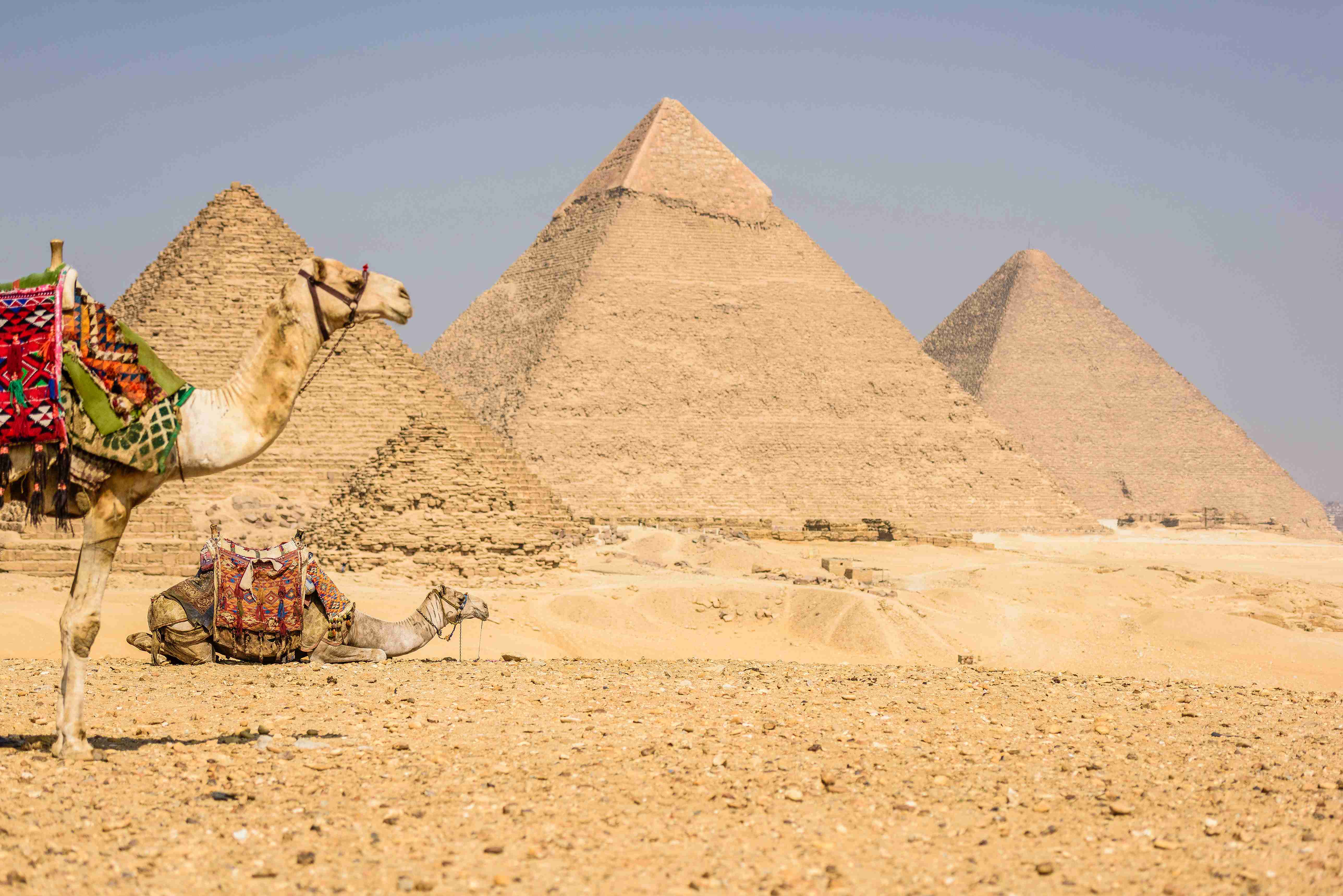 Pyramids and Camel
